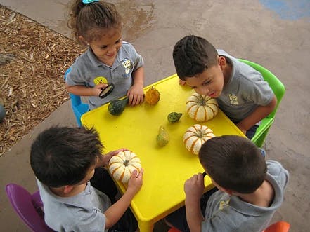 Four children at a yellow table with gourds