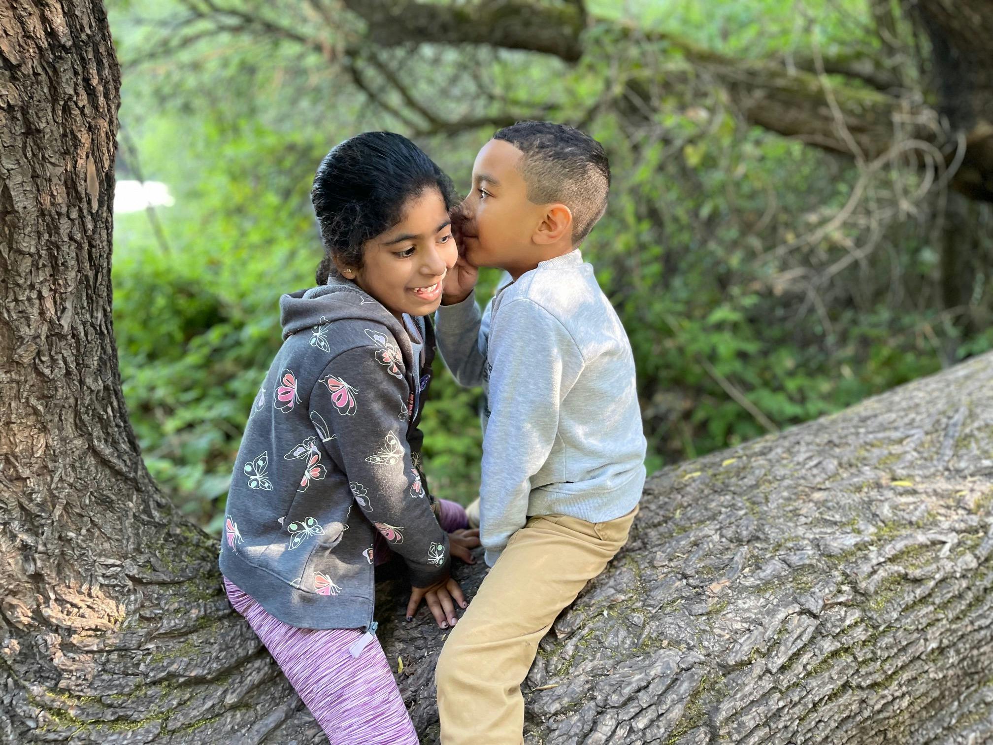 Two children sitting on a tree branch, one whispering to the other