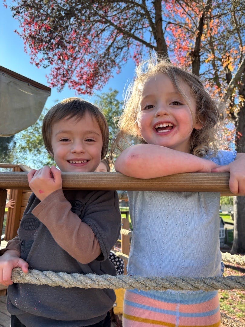 Gnomies in Sebastopol, CA