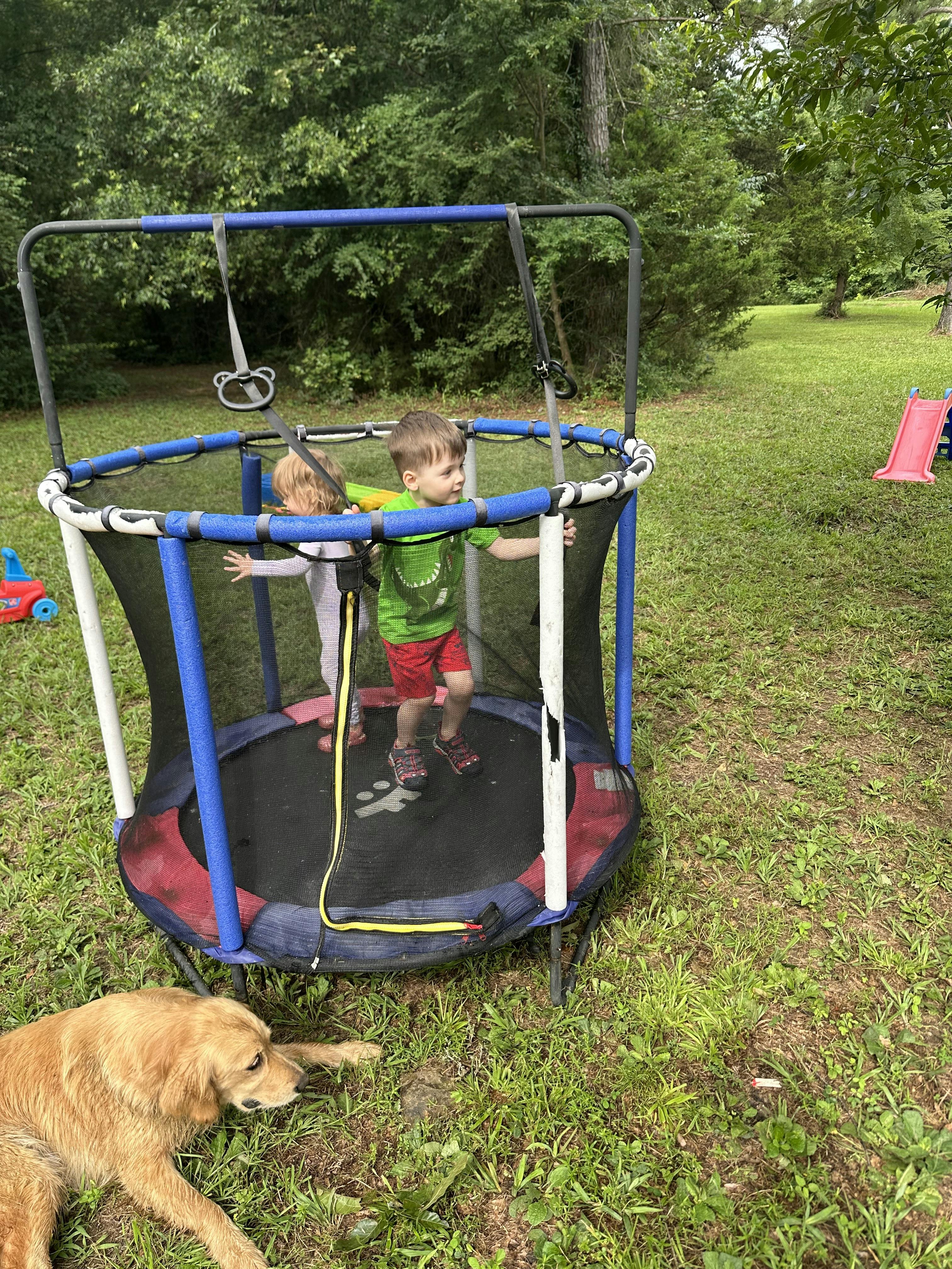 Two children jumping on a small backyard trampoline with a dog nearby