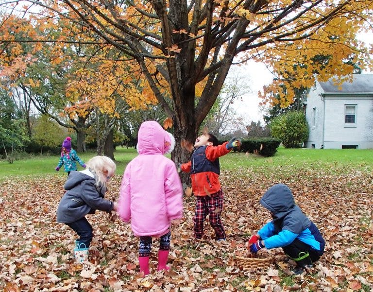 Children playing in fallen leaves under a tree