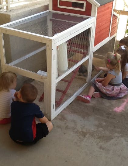 Children looking at a chicken in a red and white coop