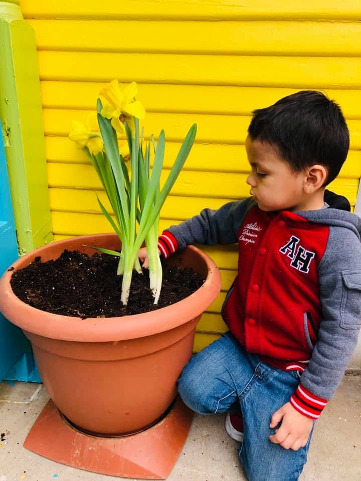 Child kneeling next to a potted plant with yellow flowers