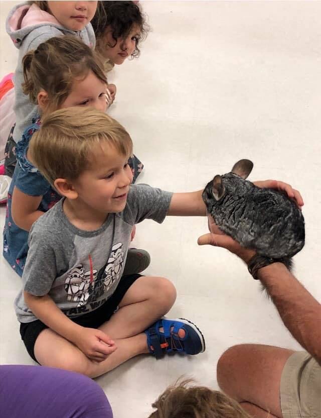 Little Turtle Early Childhood Center in Macomb, MI