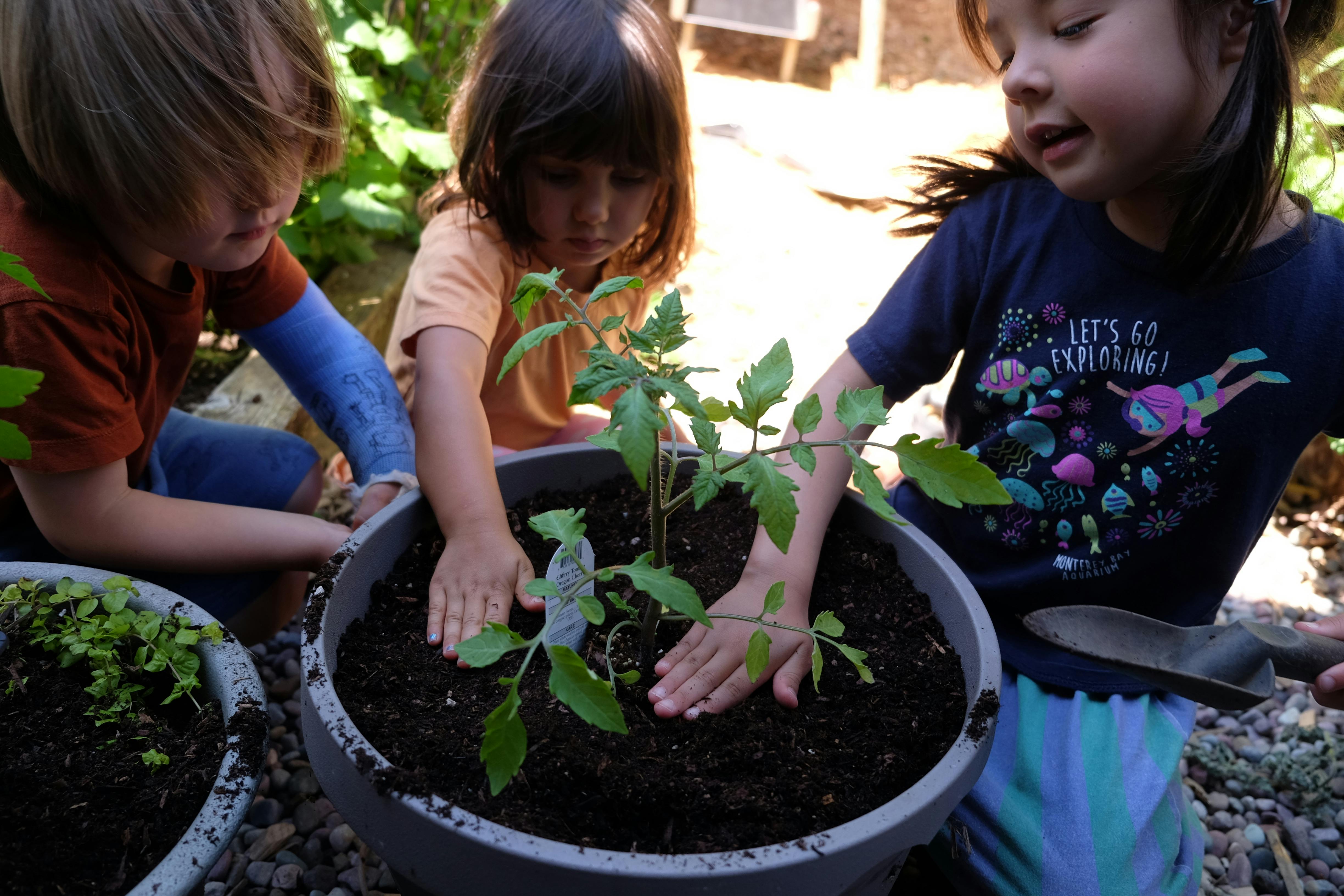 Three children planting in a large pot