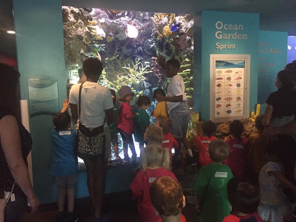 People and children looking at an aquarium exhibit