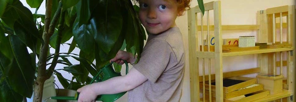 Child with red hair looking at camera next to a large plant