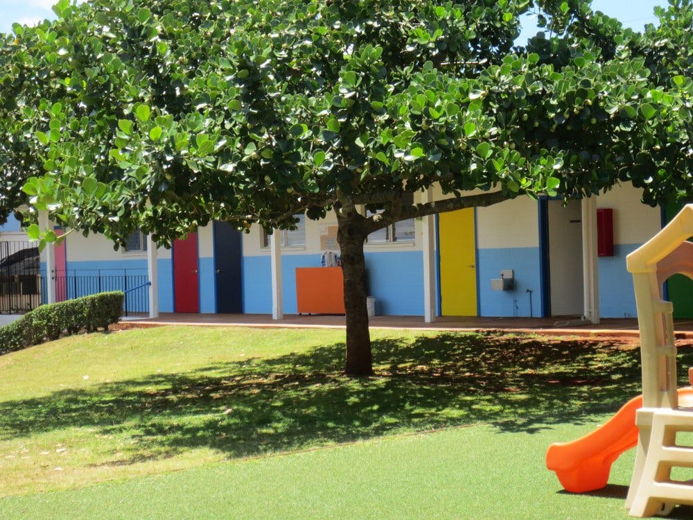 Playground with a tree and a building with colorful doors in the background