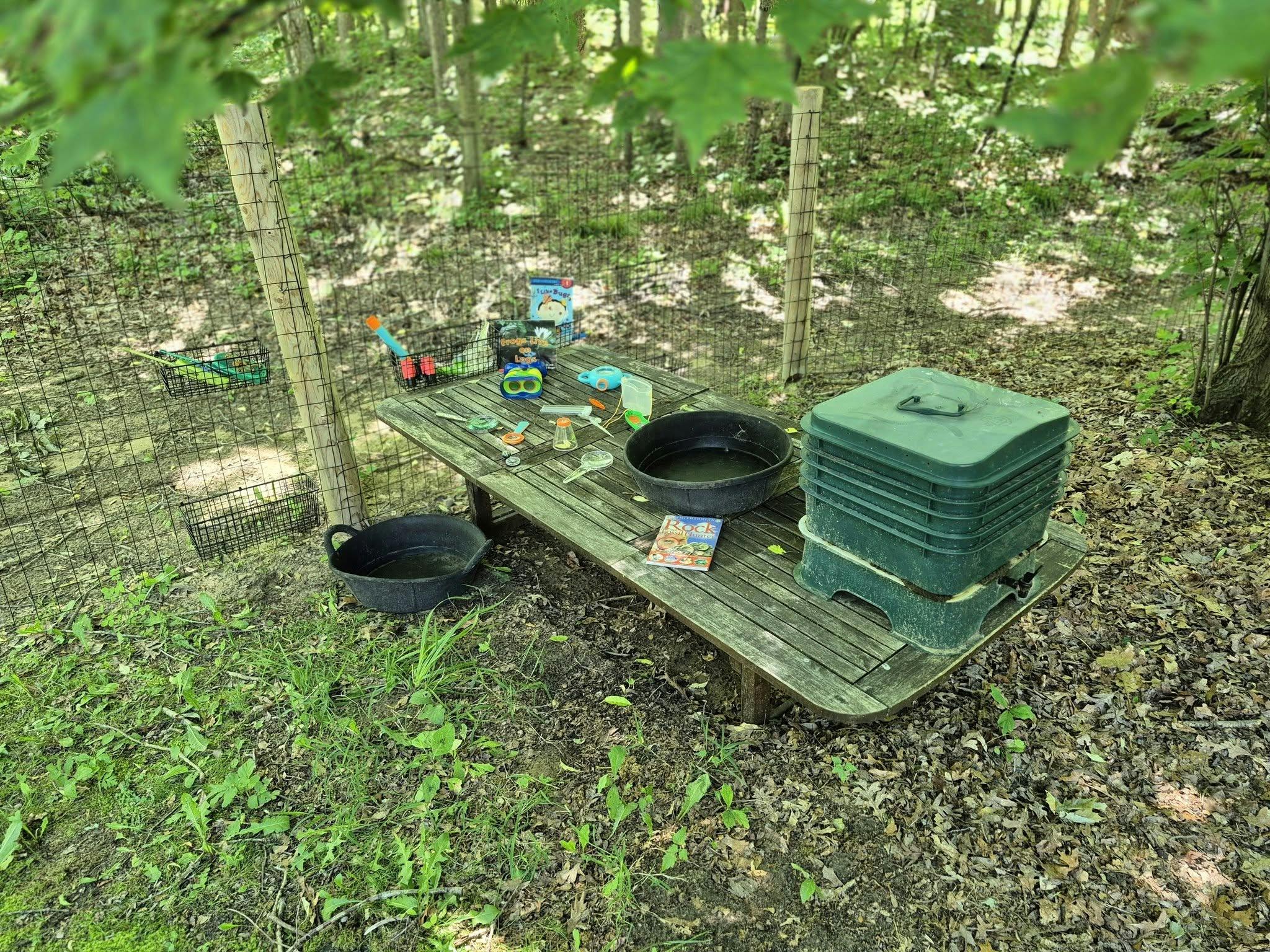 Wooden table with nature exploration tools and books in a wooded area