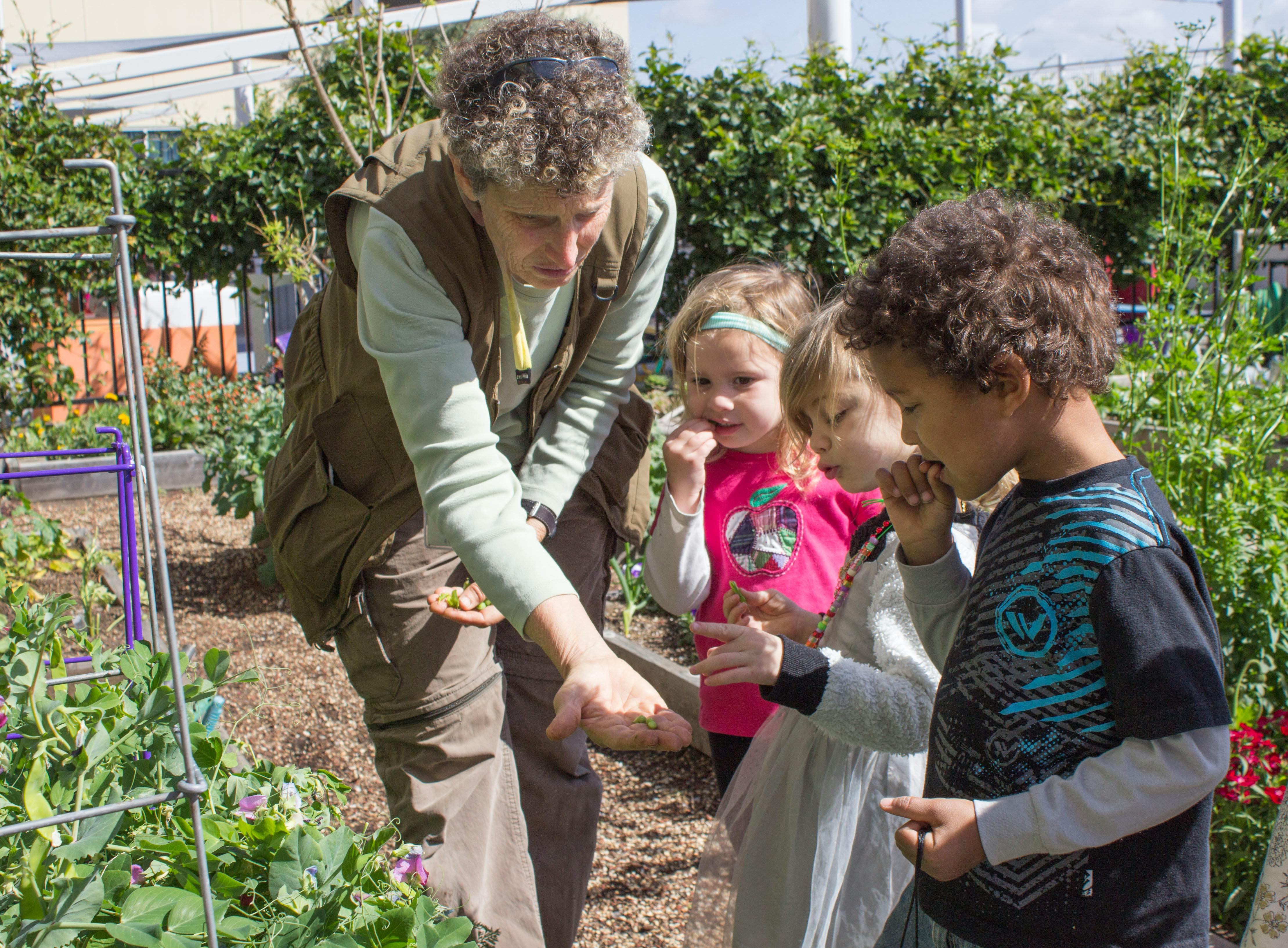 Adult showing plants to three children in a garden