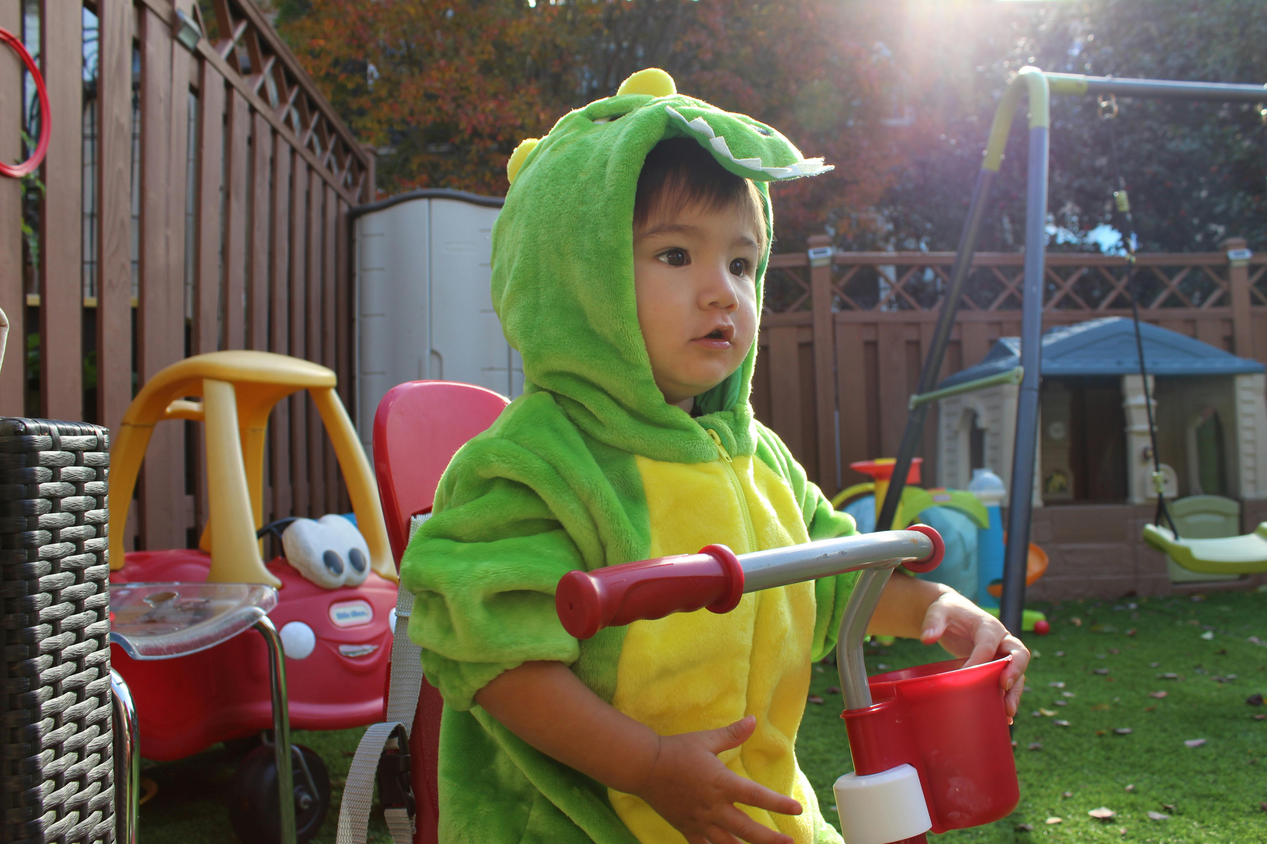 Child in a green dinosaur costume holding a toy