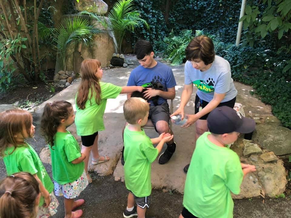 Adults and children interacting with a small animal