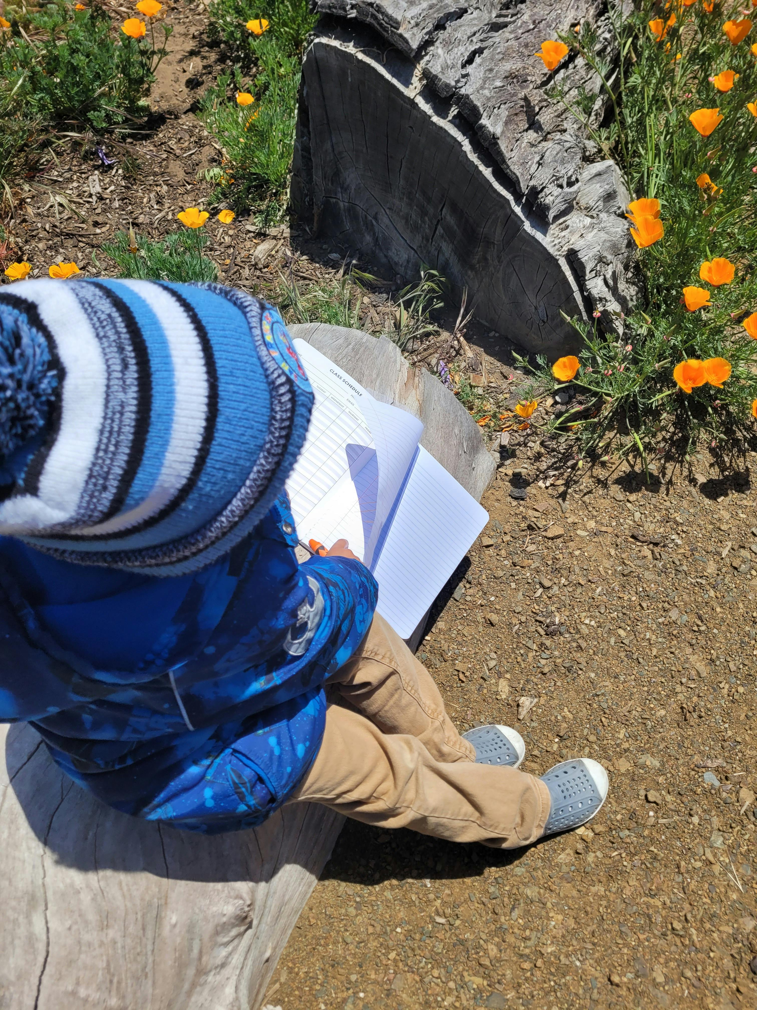 Child sitting on a log writing in a notebook near orange flowers