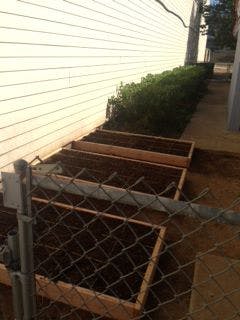 Raised garden beds behind a chain link fence