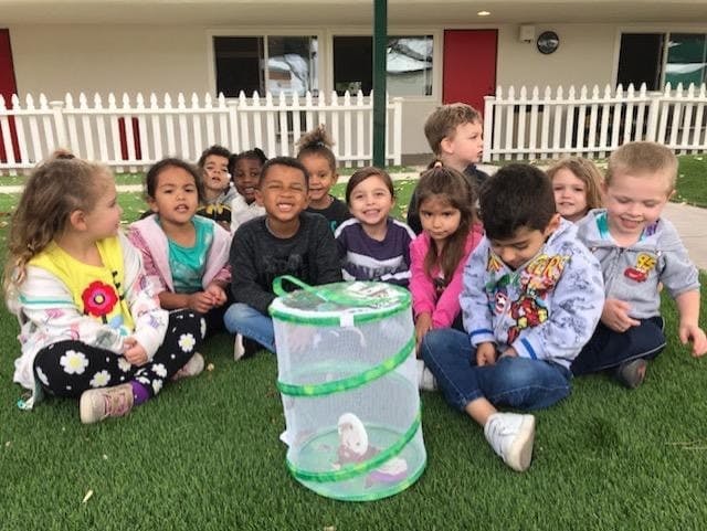 Group of children sitting on grass looking at a butterfly habitat