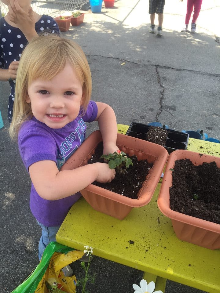 Child planting a small plant in a pot