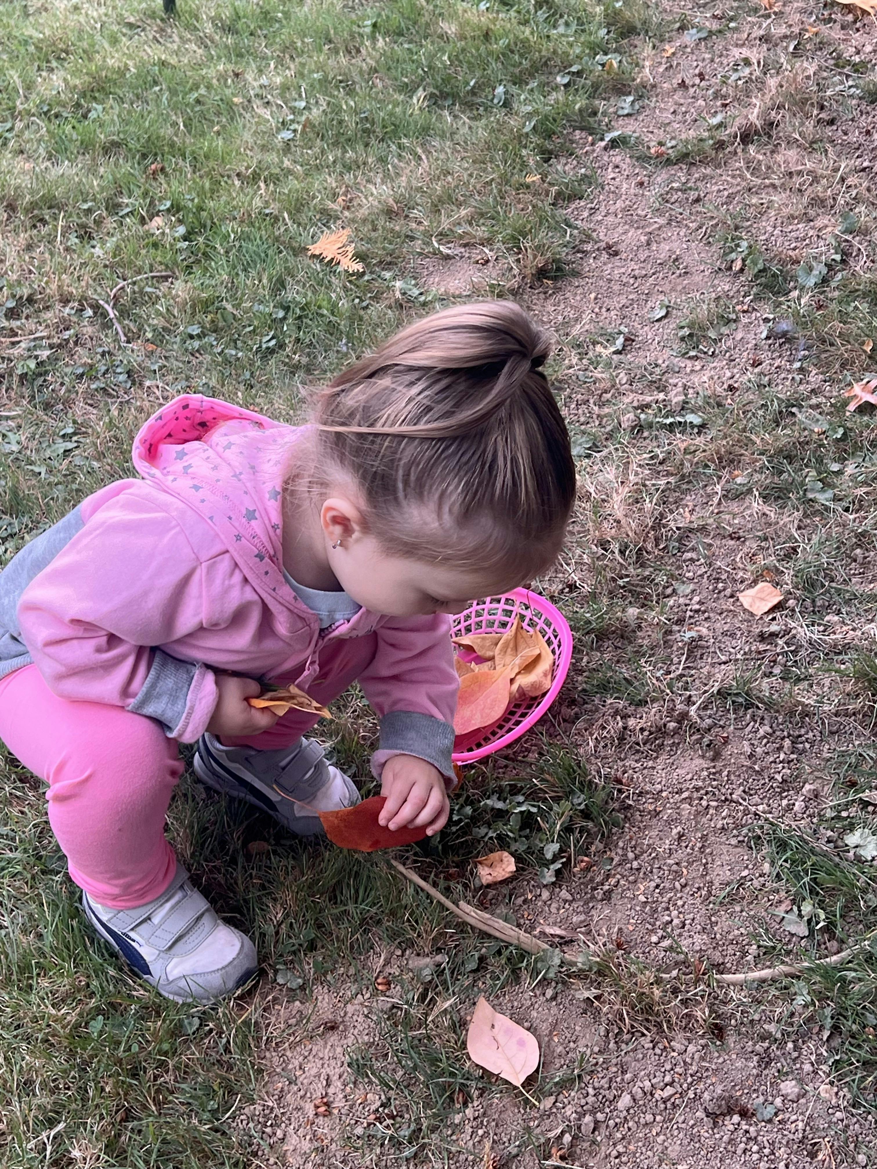 Child picking up leaves from the ground