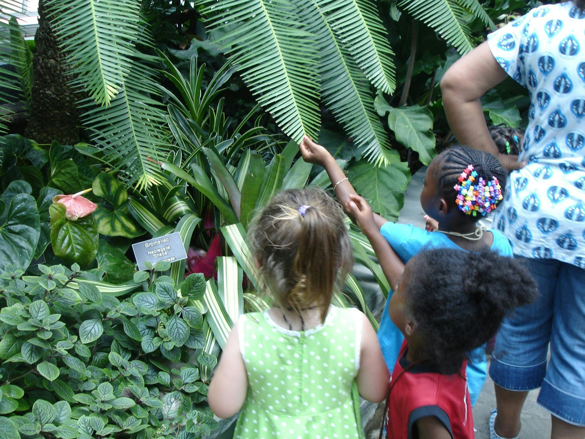 Children reaching for a large fern leaf