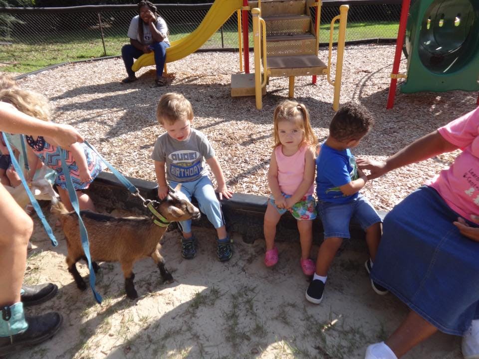 Children and a goat on a leash in a playground