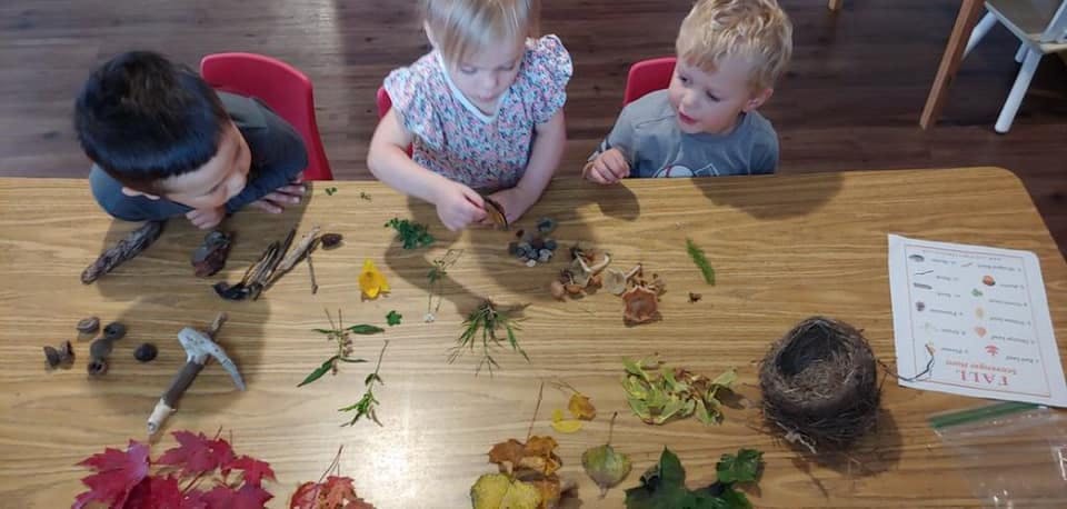 Three children at a table with leaves and other natural items