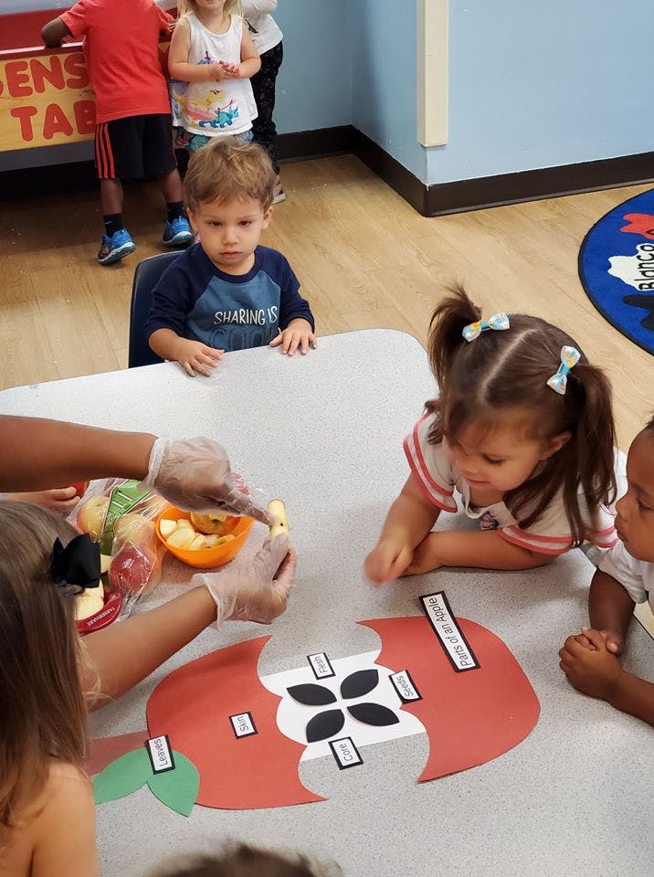 Adult with gloves serving fruit to children at a table