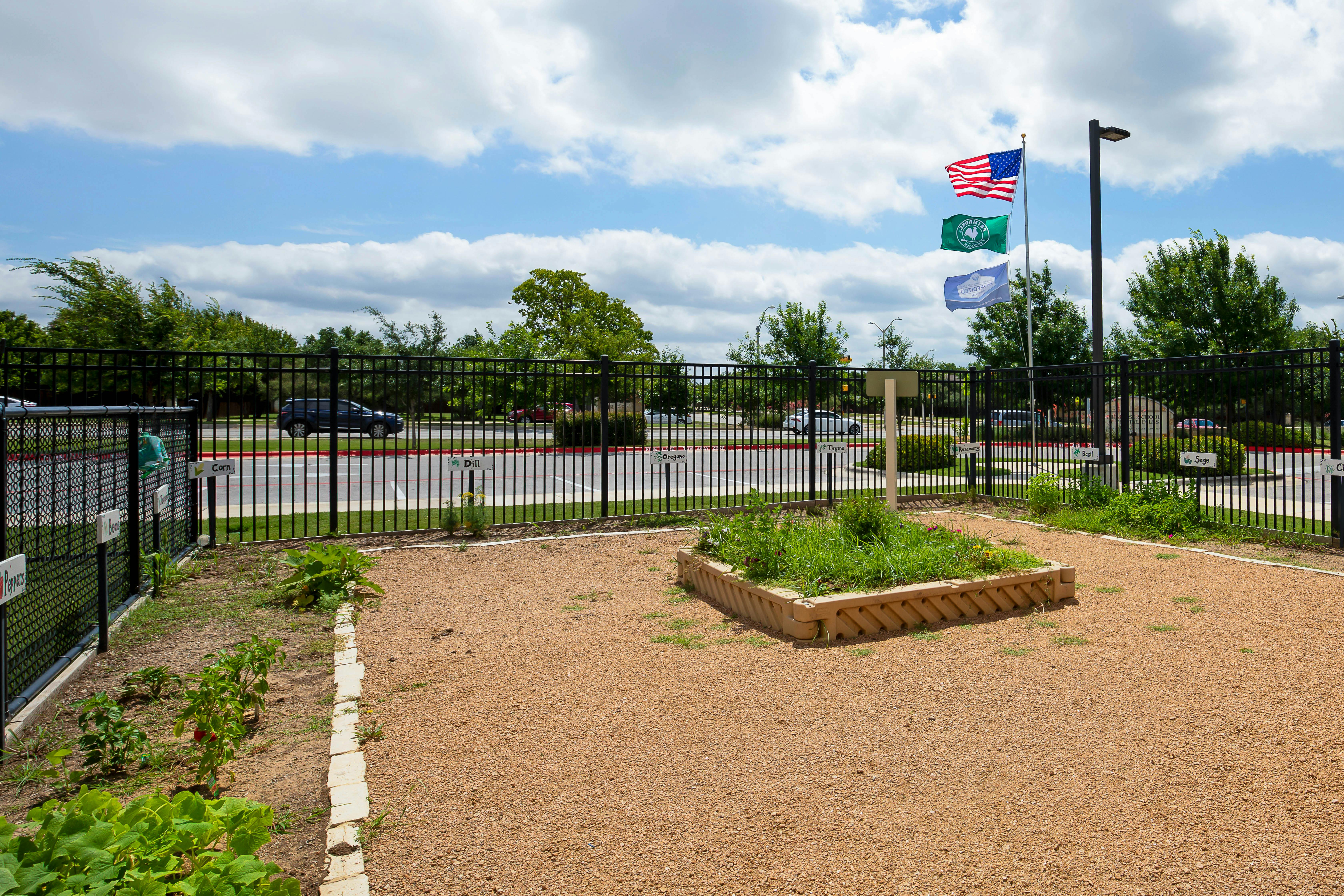 Community garden with raised bed, plants, and flags flying overhead