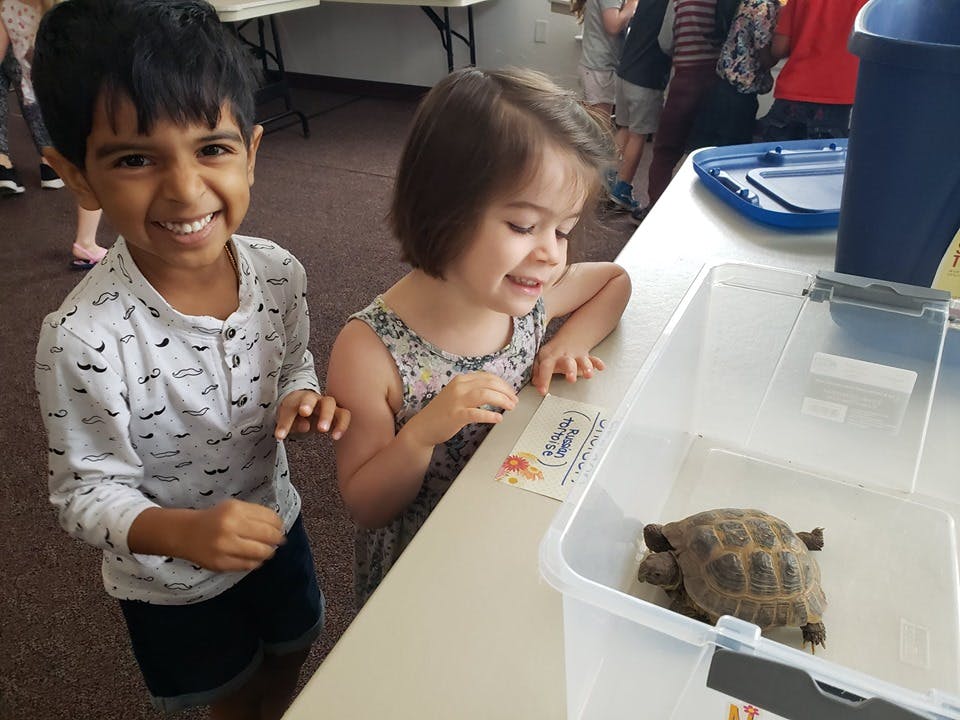 Two children looking at a turtle in a clear plastic container