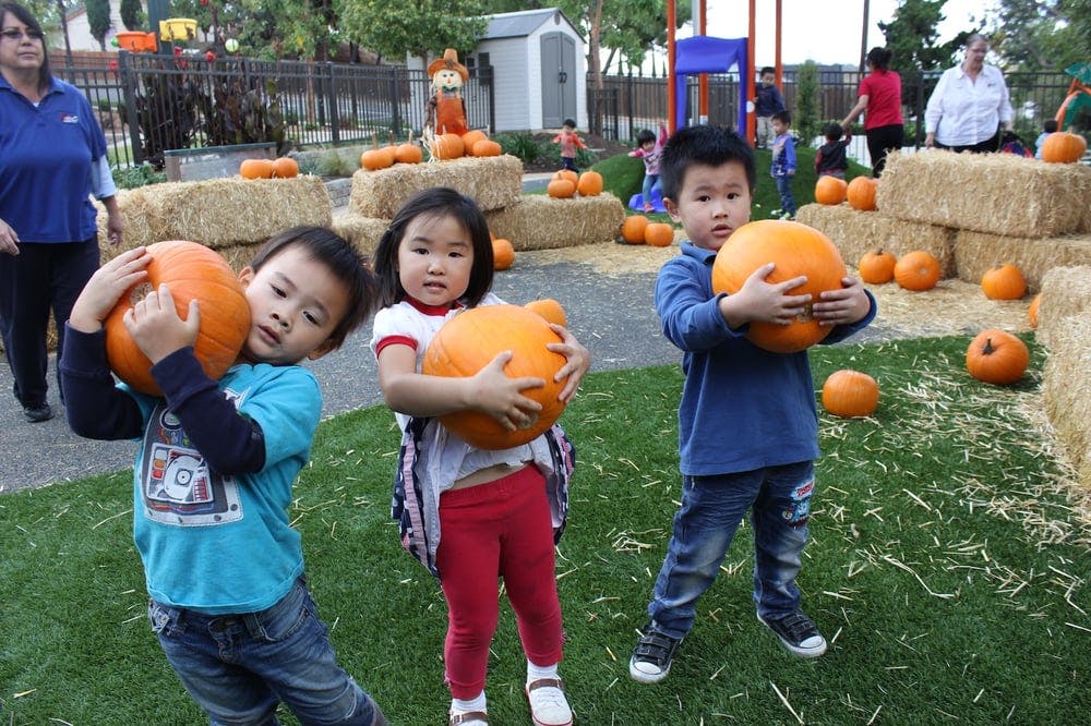 Three children holding pumpkins