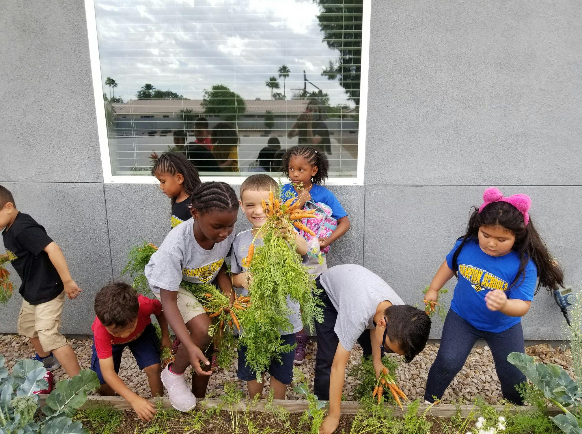 Children harvesting carrots from a garden