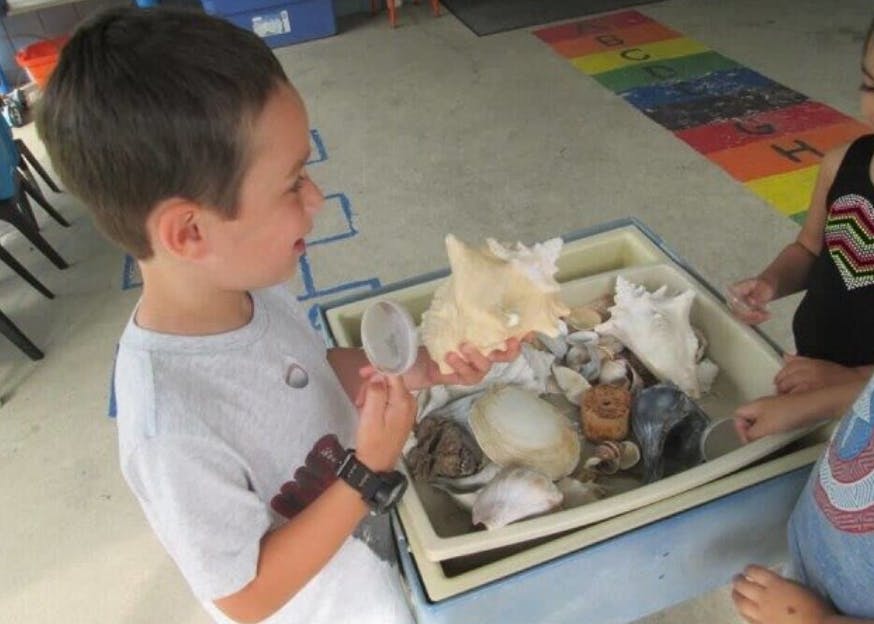 Child holding a seashell and a magnifying glass over a bin of shells