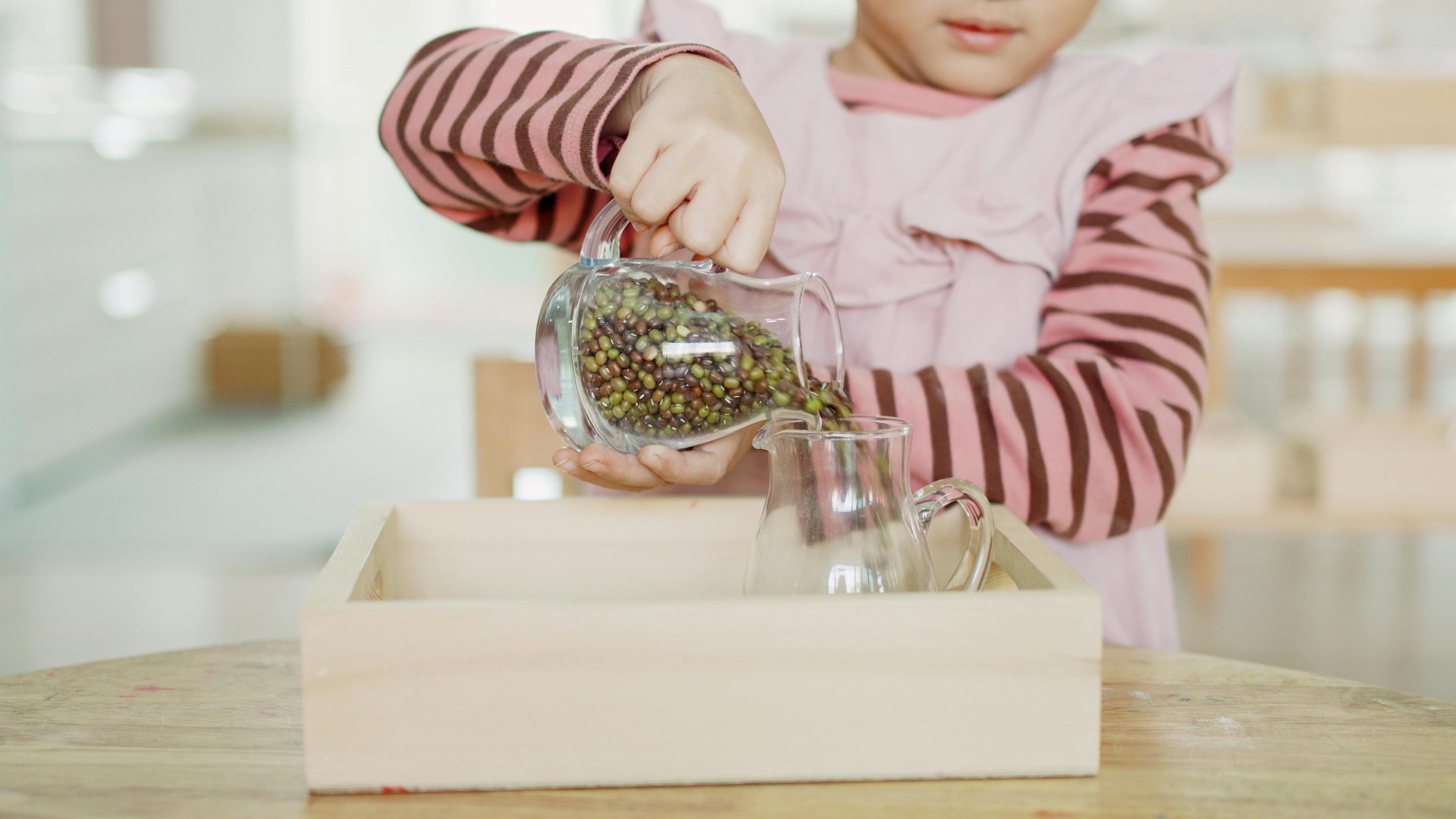 Child pouring dried beans from one glass pitcher into another