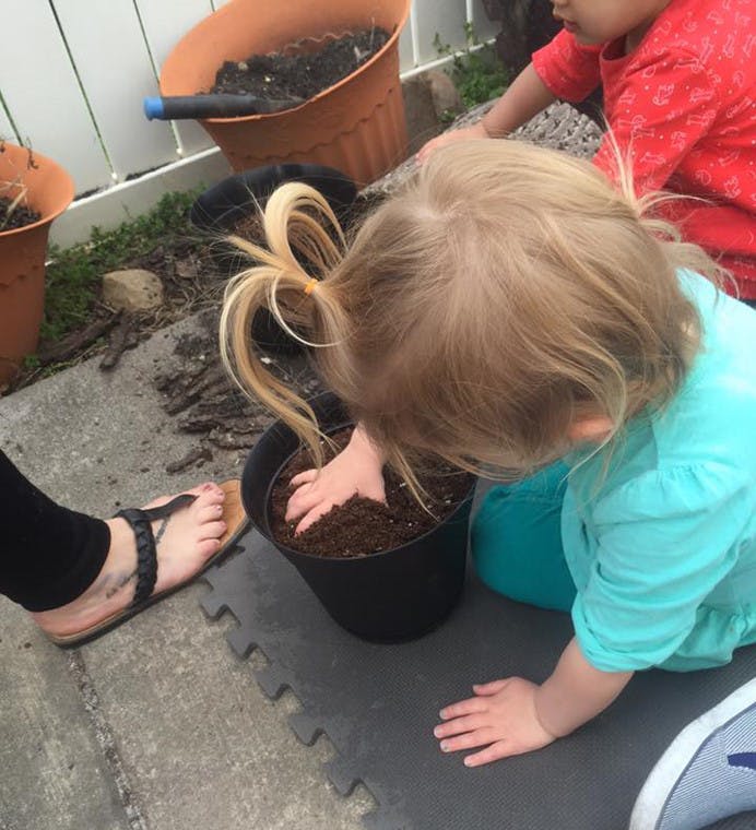Child kneeling and putting hands in a plant pot with soil