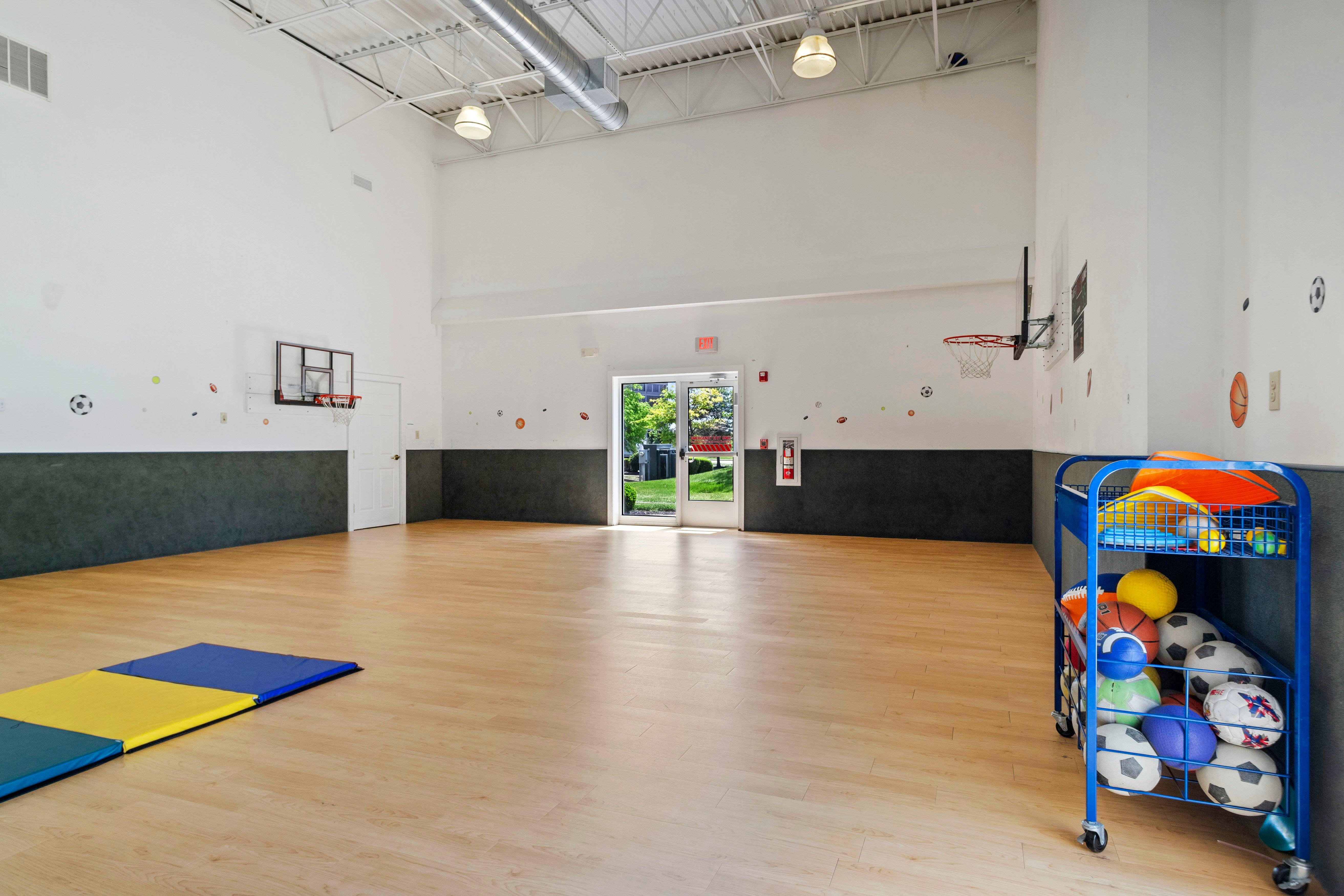 An empty indoor gym with light wood floors, a blue cart full of sports balls