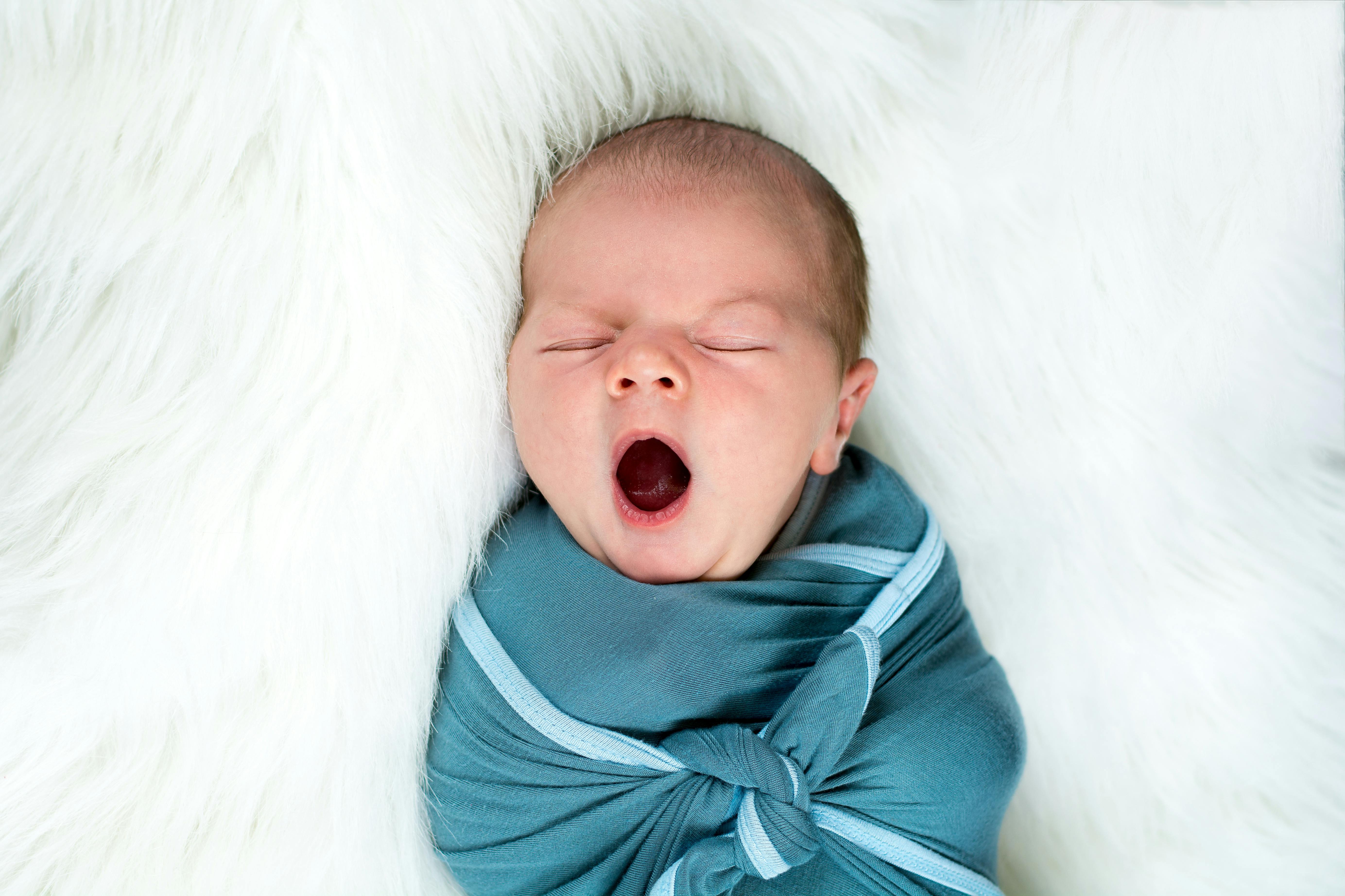 Swaddled infant yawning with eyes closed