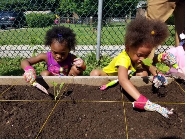 Two children planting in a raised garden bed