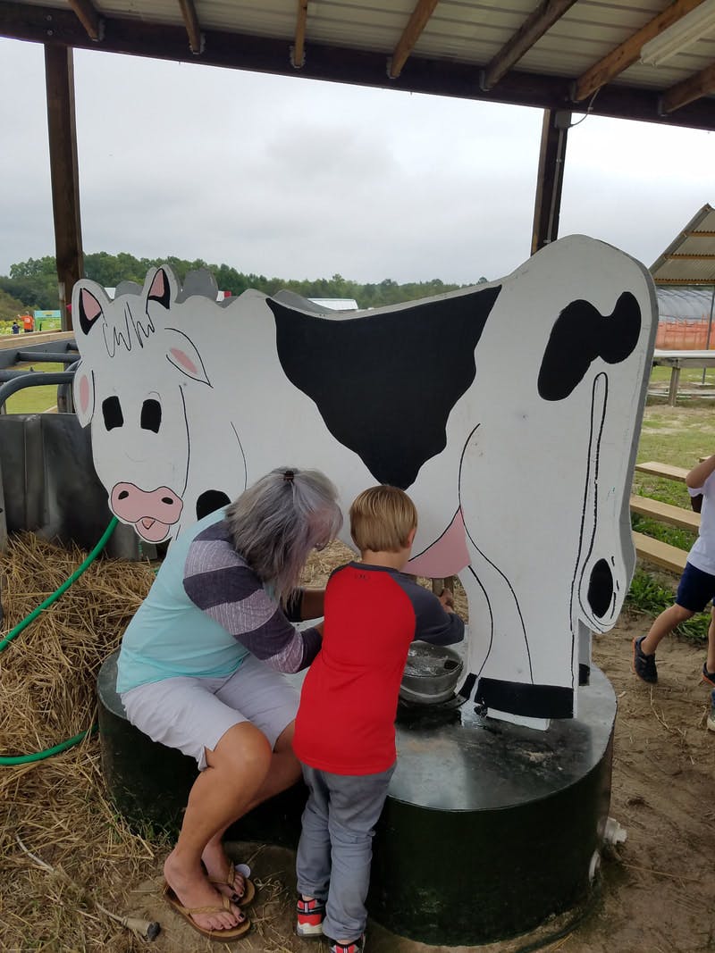 Pisgah Child Development Ministry Daycare in Lexington, SC Winnie