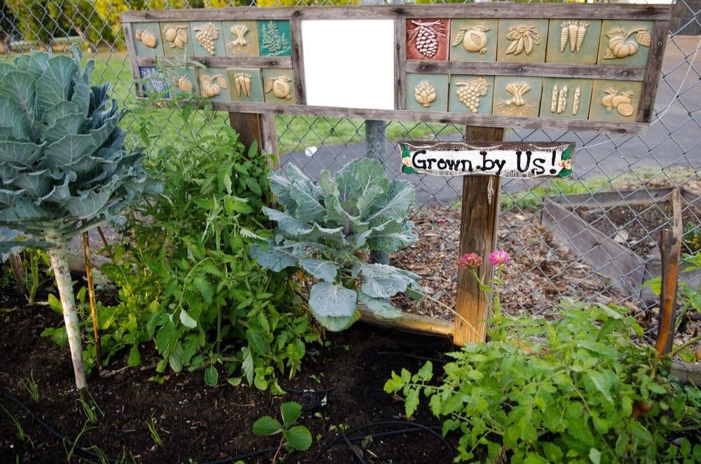 Garden with a sign that says "Grown by Us!"