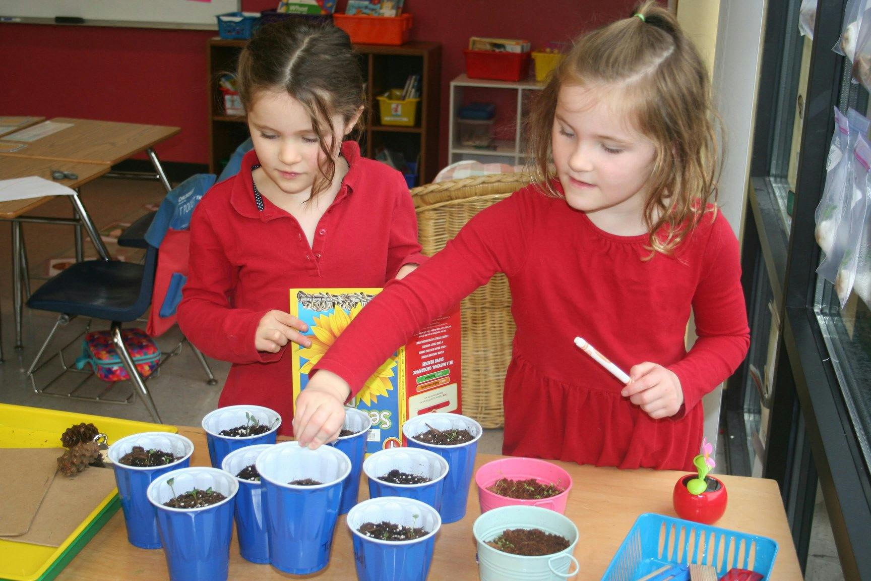 Two children planting seeds in small cups
