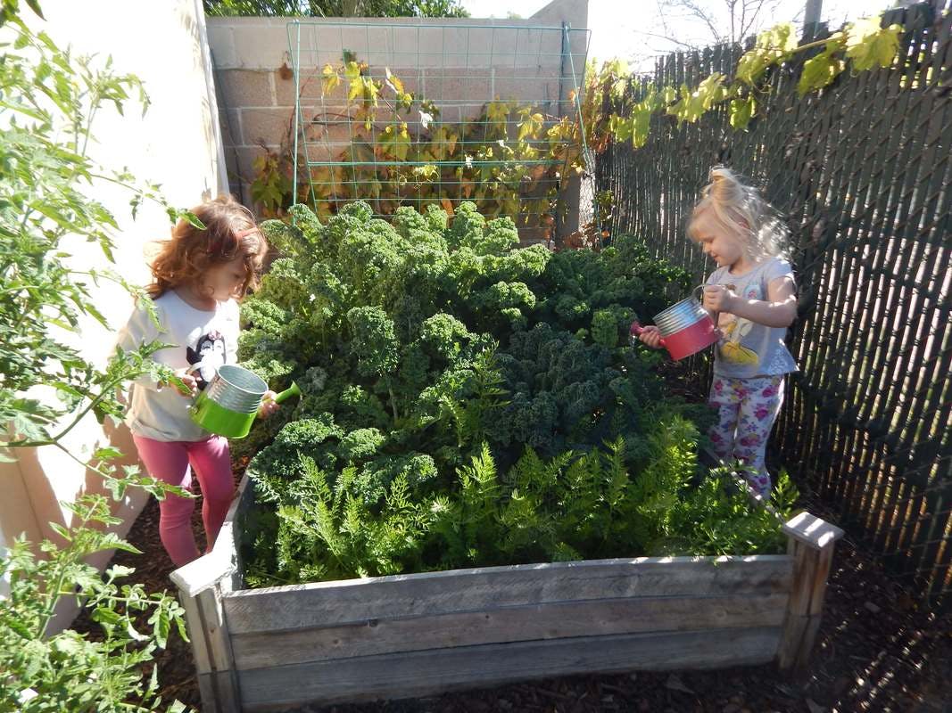 Two children watering plants in a raised garden bed