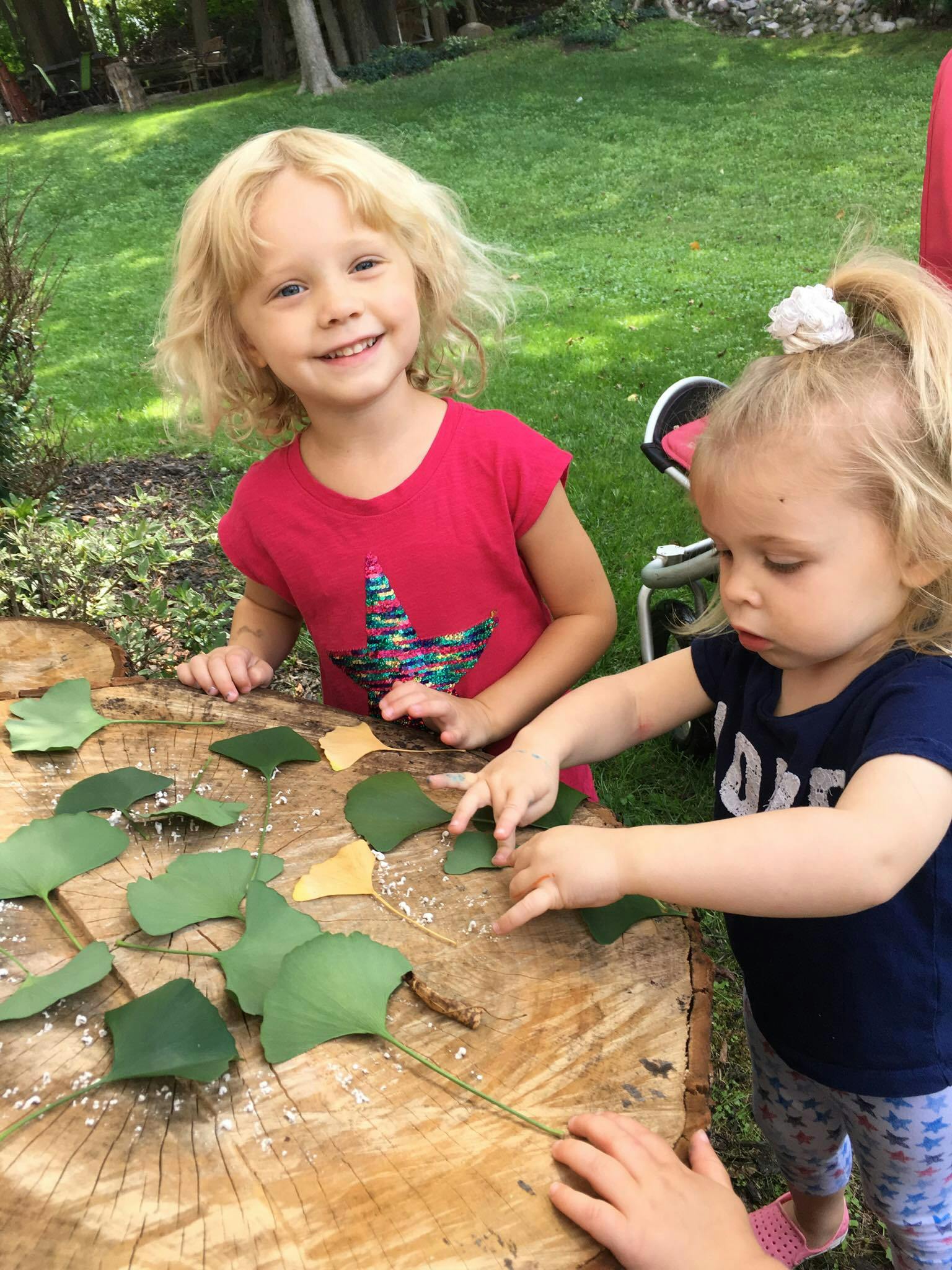 Two children playing with leaves on a tree stump