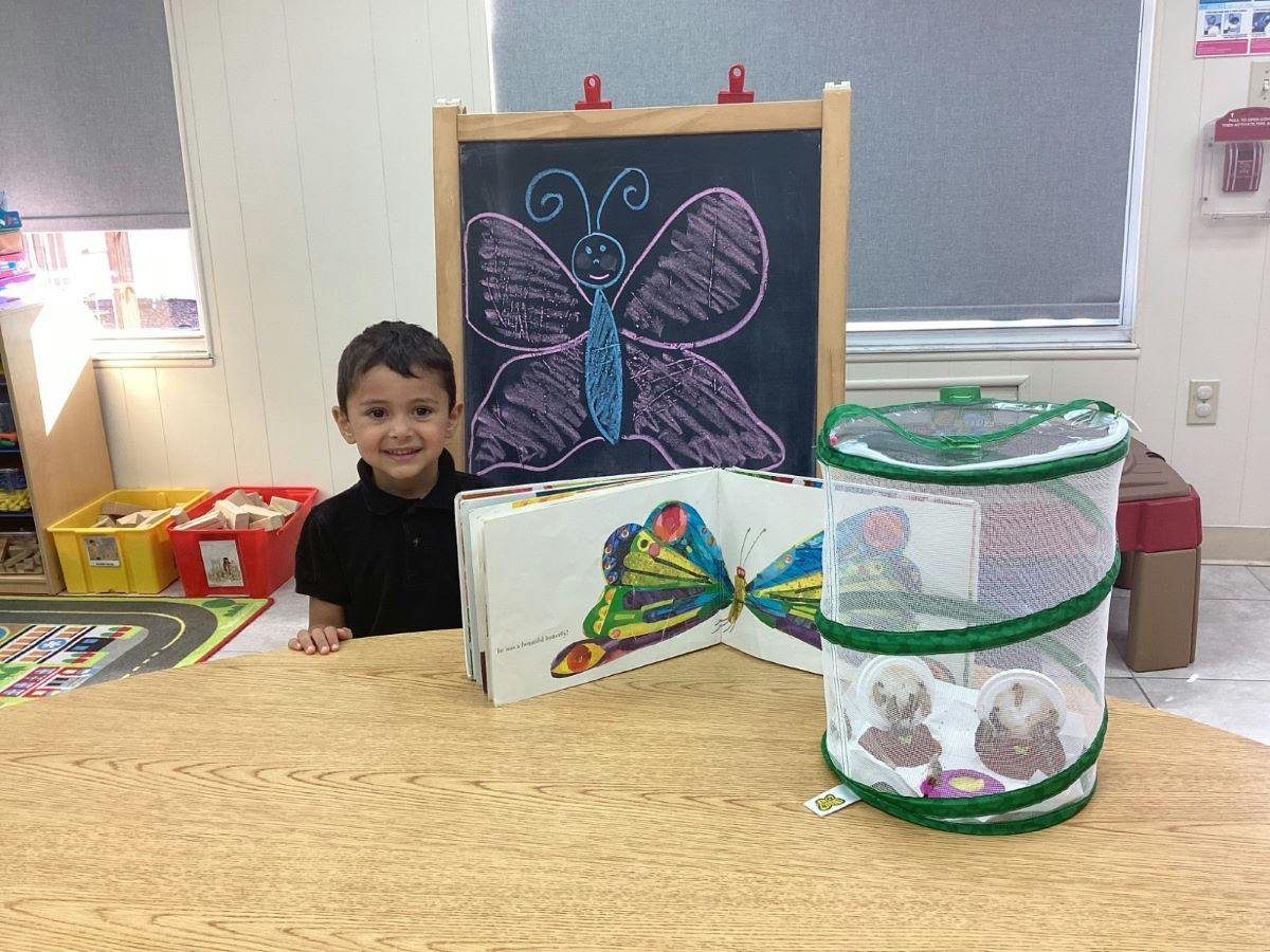 Child standing at a table with a butterfly book and mesh insect habitat