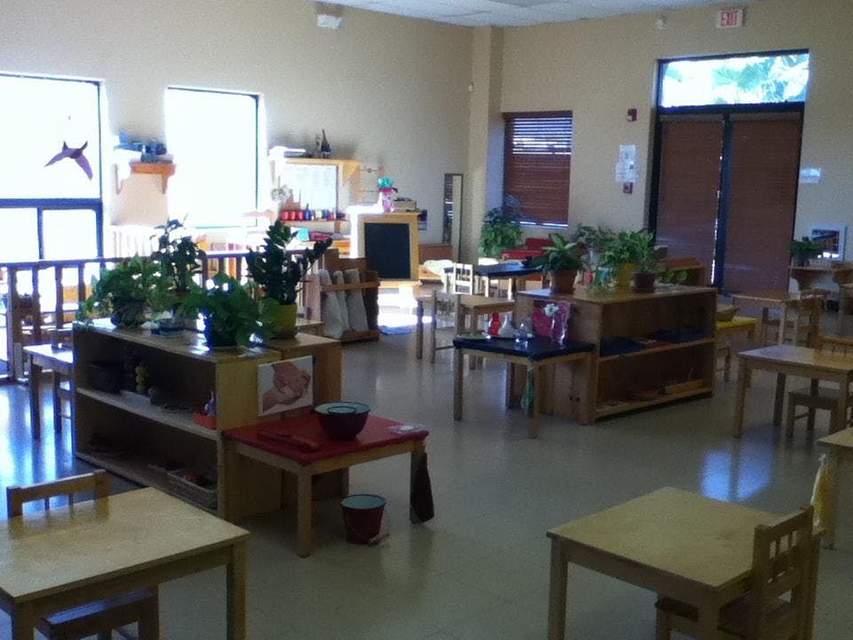 Classroom with small tables and chairs, shelves with plants