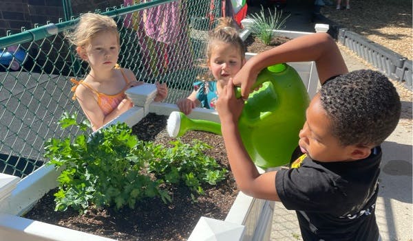 Child watering plants in a garden bed with two other children watching
