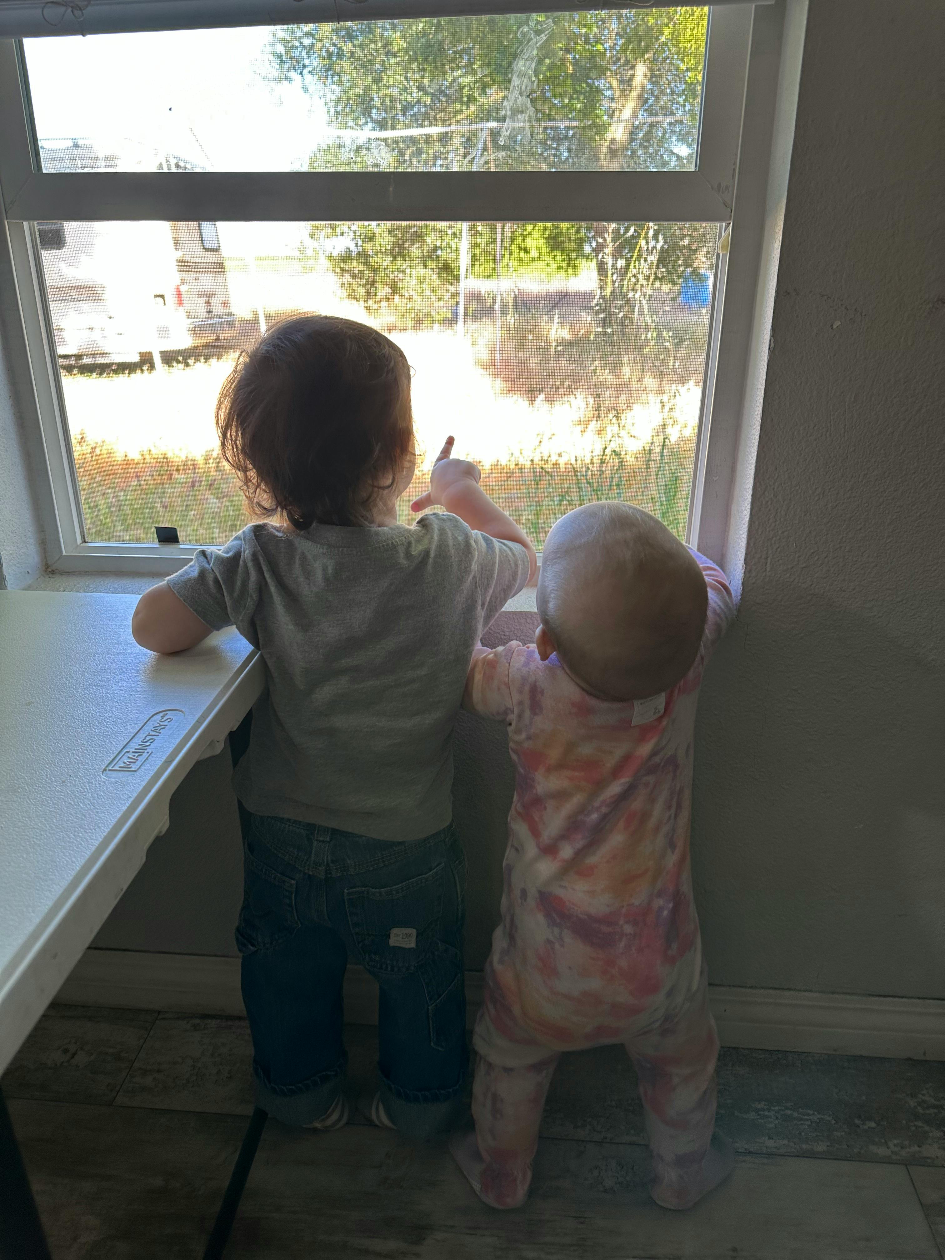 Two children looking out a window