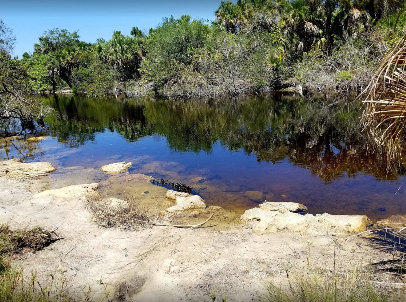 Rotary Park Environmental Center in Cape Coral Parent Reviews on Winnie