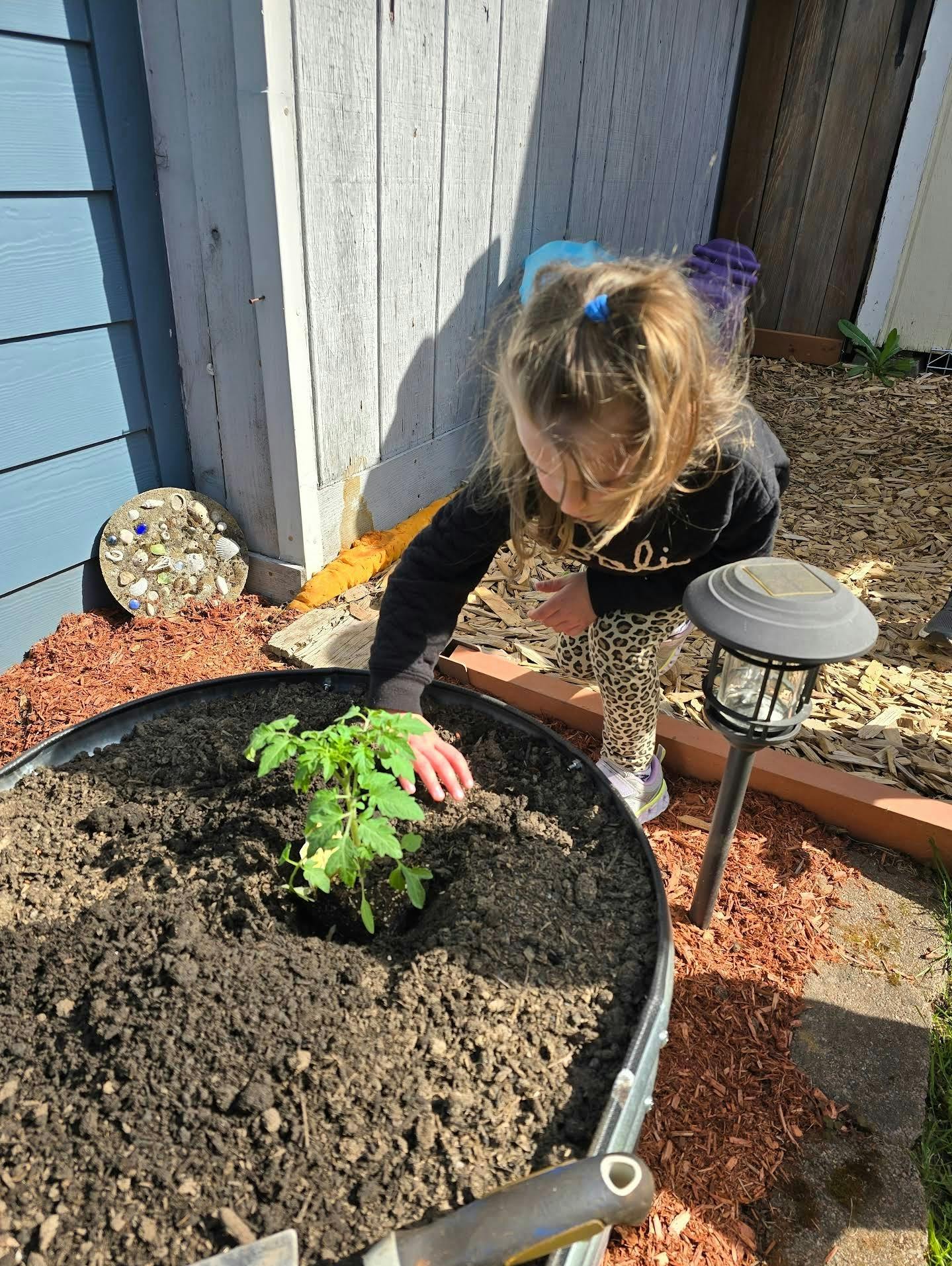 Child planting a small plant in a large pot of soil