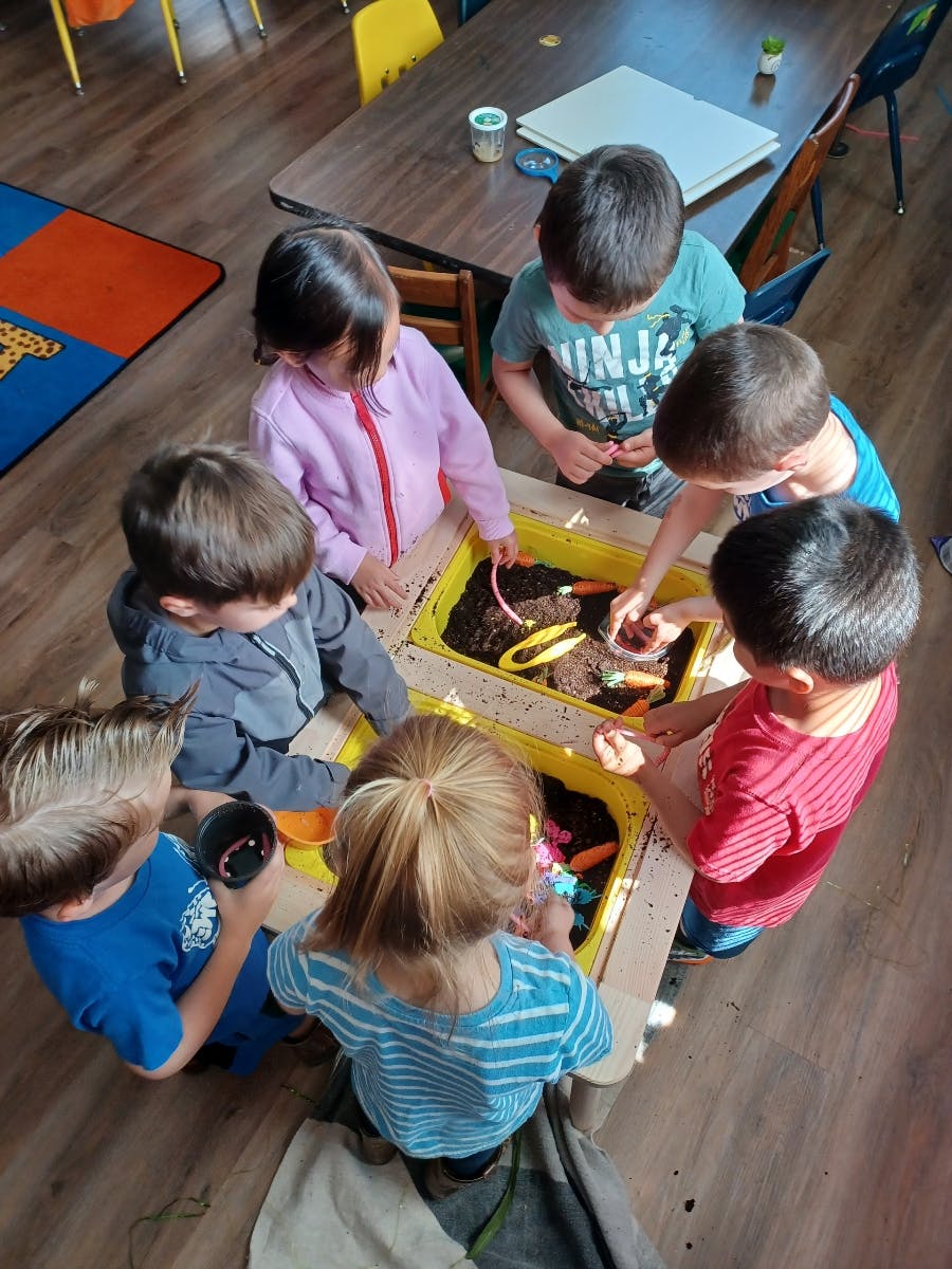 Children playing in a sand and water table