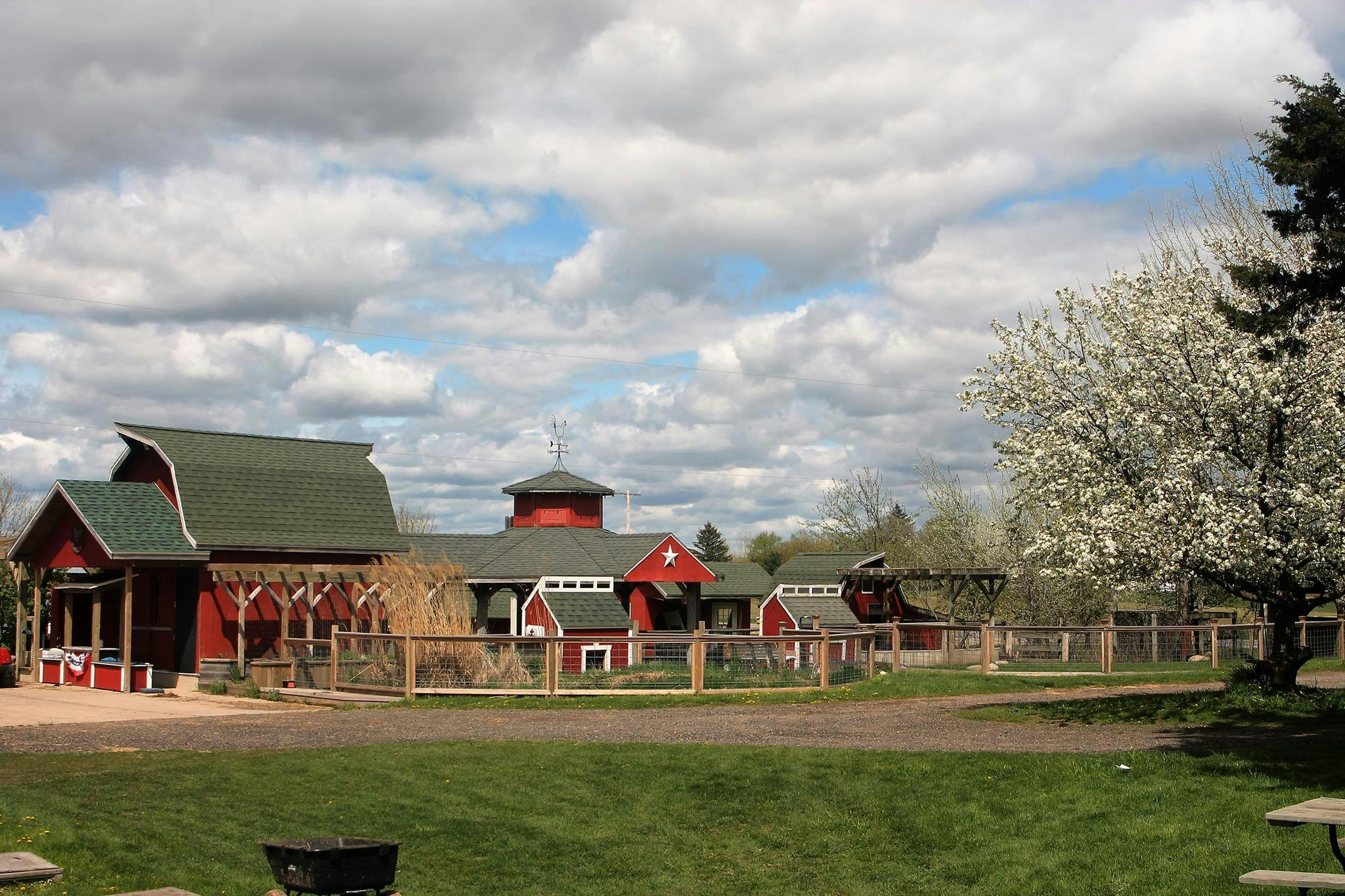 Farm Day Camp in Conklin, MI