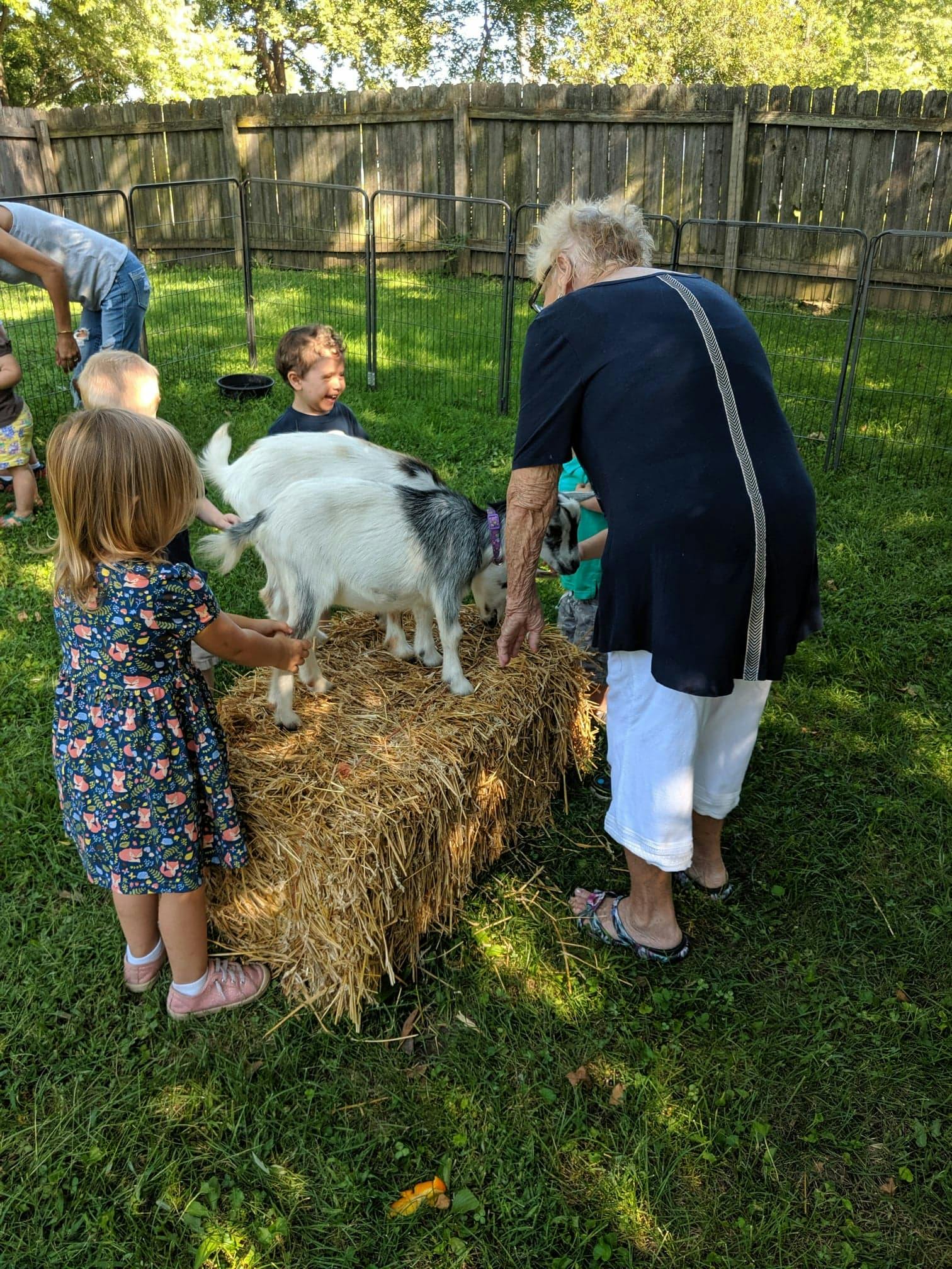 People and children interacting with goats on hay bales