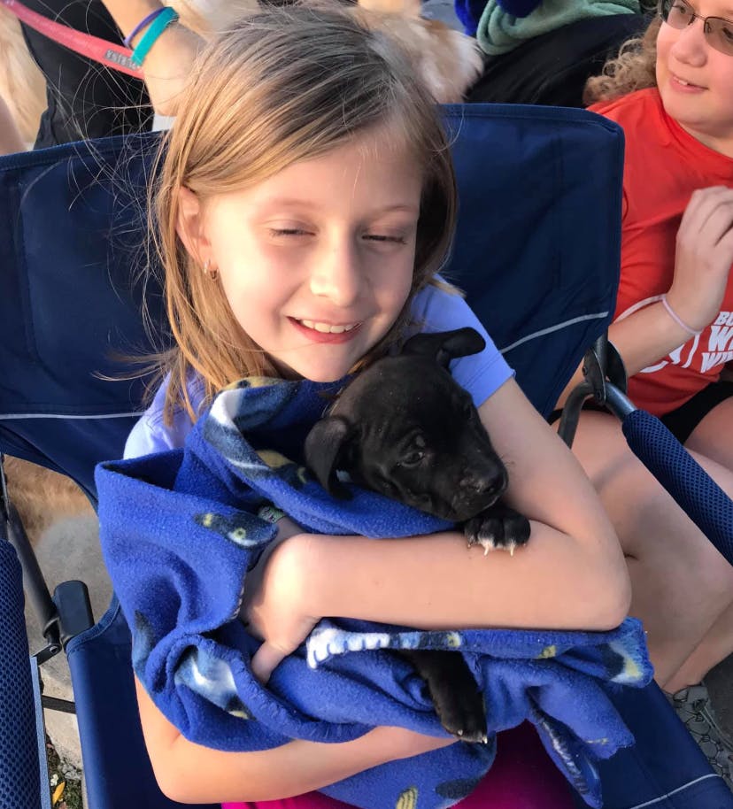 Child holding a black puppy wrapped in a blue blanket